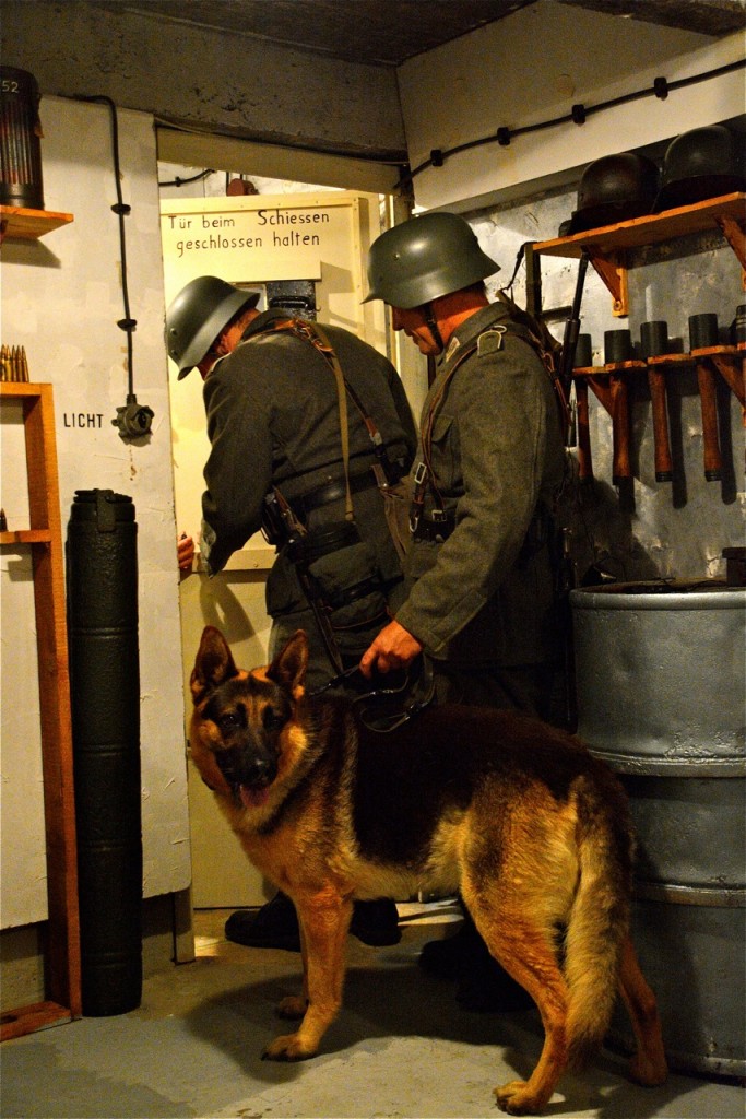 Erwan Pastol et son berger allemand.